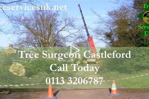 Tree Removal Castleford | Tree Removal And Trimming Services In Castleford