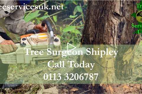 Tree Surgeon Shipley BD18 | Root Stump And Tree Removal Tree Trimming Services In Shipley West Yorks