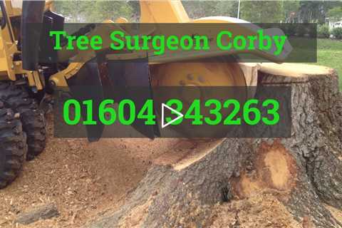 Tree Surgeon Corby Tree Pruning Felling Root And Stump Removal Services In Northamptonshire Near Me