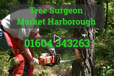 Tree Surgeon Market Harborough Root Removal Stump Removal Tree Surgery  & Other Tree Services