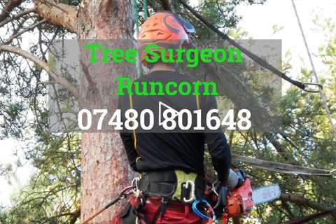 Tree Surgeon Runcorn Local Tree Services & Tree Surgery Company - Tree Surgeons Near Me