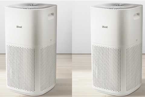 There is a $30 discount coupon for this popular air purifier right now