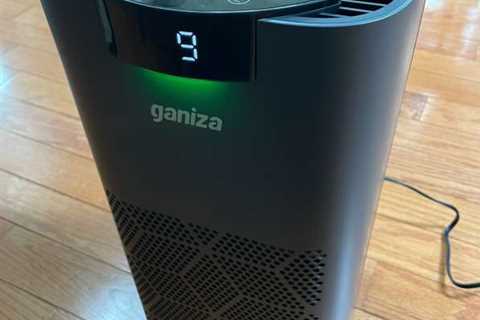 Ganiza G200S True HEPA Air Purifier Review – Does a good job of snuffing out odors!