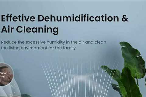 Dehumidifier: Best dehumidifier for rooms in India