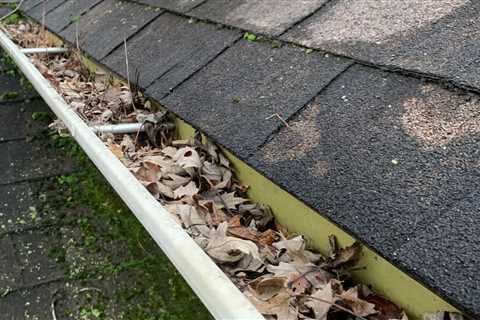 Gutter Cleaning Services Nashvilles: Clean Pro Gutter Cleaning Nashville