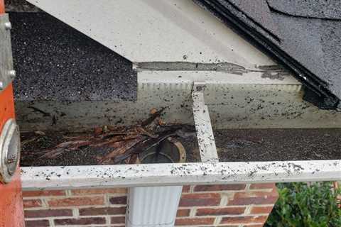 Seattle Gutter Cleaning and Repair-Clean Pro Gutter Cleaning Seattle