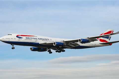 British Airways accidentally flew a pet dog to Saudi Arabia instead of Nashville, leaving it..