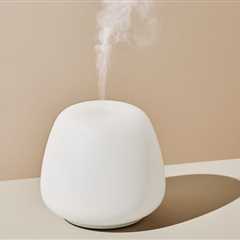 Why you need a humidifier, according to experts
