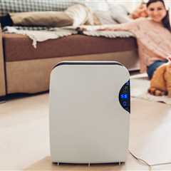 We’re dehumidifier experts – the mistakes people keep making with theirs and how to make sure yours ..