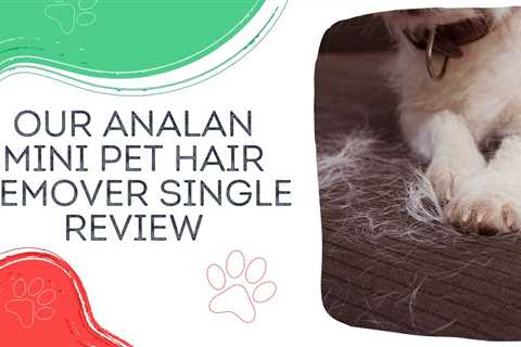 Our Analan Mini Pet Hair Remover Single Review