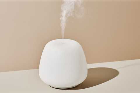 Why you need a humidifier, according to experts