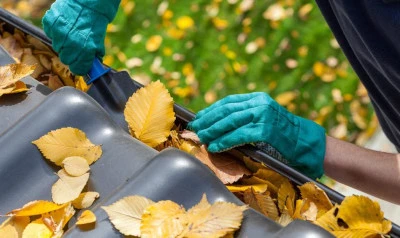 Gutter Cleaning Kingsdown