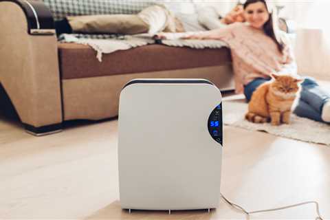 We’re dehumidifier experts – the mistakes people keep making with theirs and how to make sure yours ..