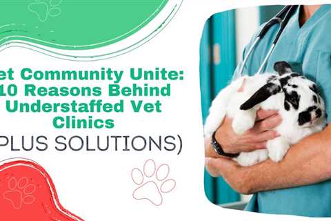 Vet Community Unite: 10 Reasons Behind Understaffed Vet Clinics (Plus Solutions)