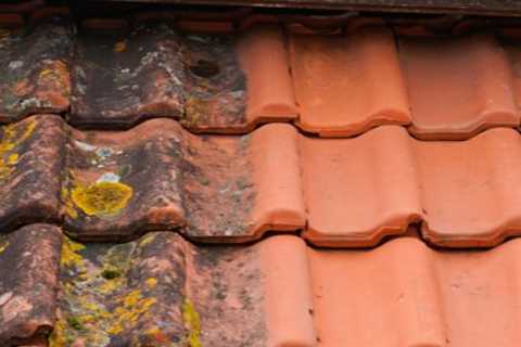 Roof Cleaning East Harptree