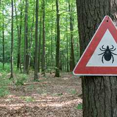 February 17 2023 - Pfizer, Valneva remove half of participants from study of Lyme disease shot