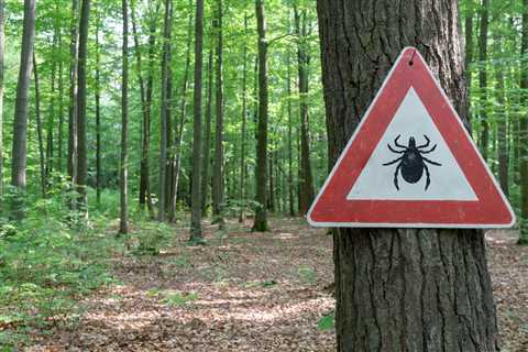 February 17 2023 - Pfizer, Valneva remove half of participants from study of Lyme disease shot