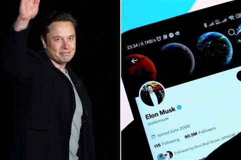 Twitter employees called a Tesla executive 'the Elon whisperer' because he could read Musk's mood