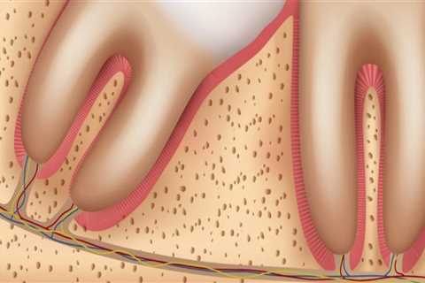 Special Considerations for Fillings with Primary and Permanent Bicuspids