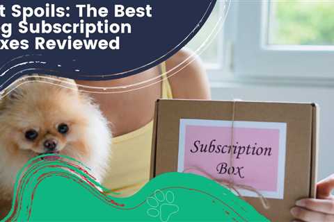 Pet Spoils: The Best Dog Subscription Boxes Reviewed