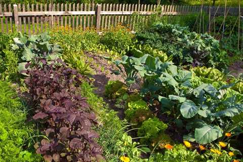 Convert Your Yard From Grass to Veggies