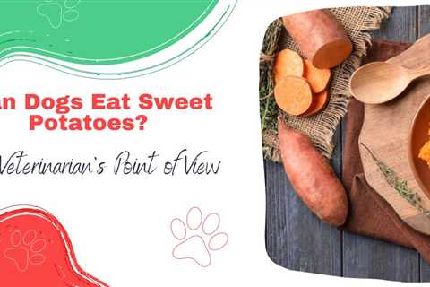 Can Dogs Eat Sweet Potatoes? A Veterinarian’s Point of View