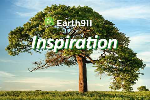 Earth911 Inspiration: If We Destroy the Environment