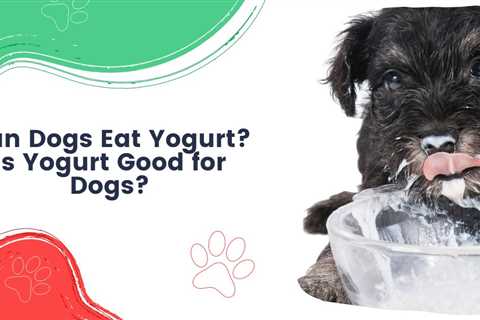 Can Dogs Eat Yogurt? Is Yogurt Good for Dogs?