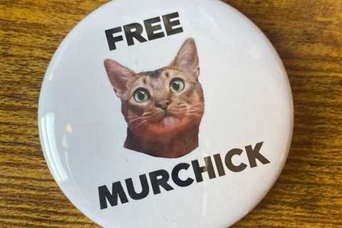 'Free Murchik': Junior Quinn Emanuel Lawyers Take on Pro Bono Cat Custody Battle