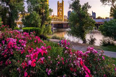 The Most Popular Public Services in Sacramento, CA