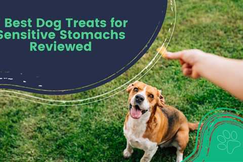 7 Best Dog Treats for Sensitive Stomachs Reviewed