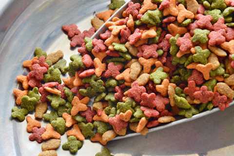 Cleaning and Sanitation in Pet Food Facilities: Ensuring Safe and Healthy Pet Food