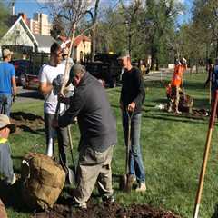 Service Projects in Colorado Springs: What You Need to Know