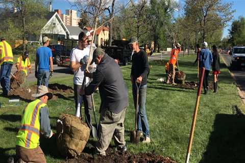 Service Projects in Colorado Springs: What You Need to Know