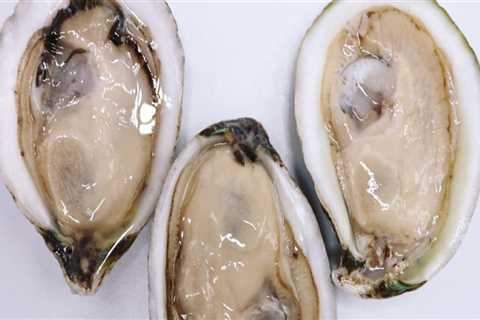 Oysters: A Cultural Identity for Fairhope, Alabama