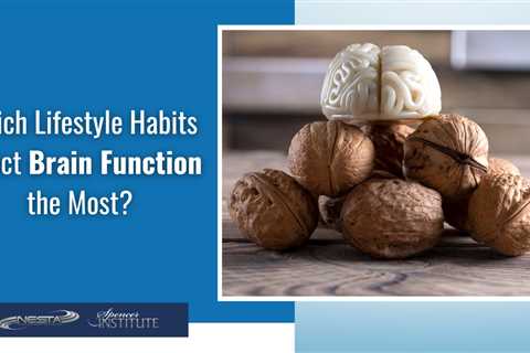 Which Lifestyle Habits Affect Brain Function the Most?