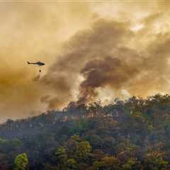 NFPA Urges Action to Mitigate Wildfire Risks Amid Unprecedented Destruction