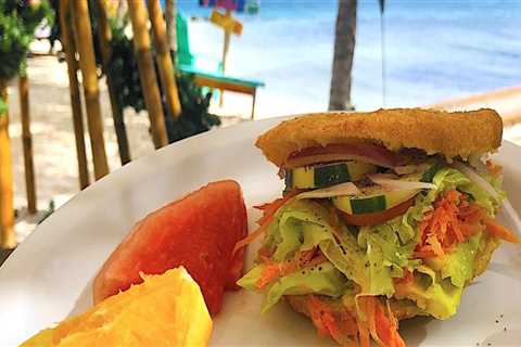 Vegan Delights in Panama City, Florida: A Foodie's Guide