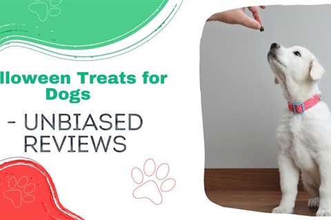 Halloween Treats for Dogs – Unbiased Reviews