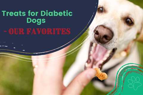 Treats for Diabetic Dogs – Our Favorites