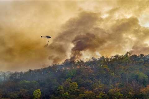 NFPA Urges Action to Mitigate Wildfire Risks Amid Unprecedented Destruction