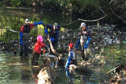 Environmental Groups in Bronx, NY: Protecting Water Sources and Promoting Clean Water