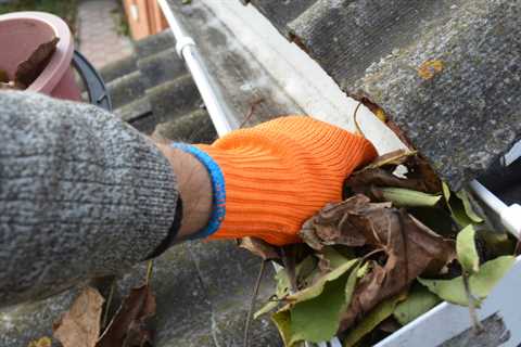 Gutter Cleaning Cheslyn Hay