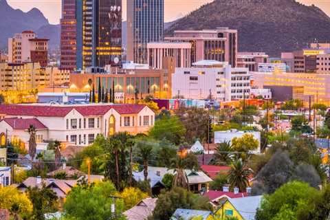 The Impact of Voluntary Organizations in Tucson, AZ: Building Partnerships with Businesses and..