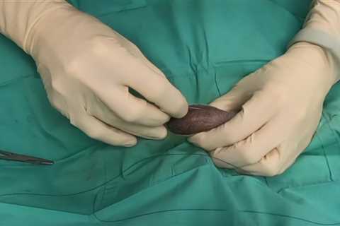 How to Perform a Scrotal Neuter in a Dog with Dr. Graham Brayshaw | VETgirl Continuing Education..