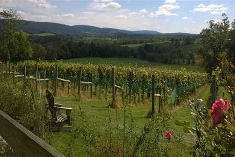 Agriculture and Its Role in the Development of Loudoun County, VA: An Expert's Perspective