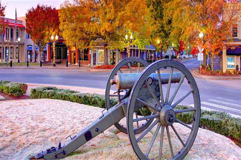 Exploring Transportation Options in Williamson County, Tennessee