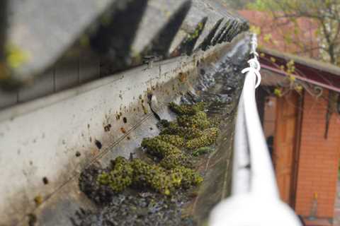 Gutter Cleaning Springfield