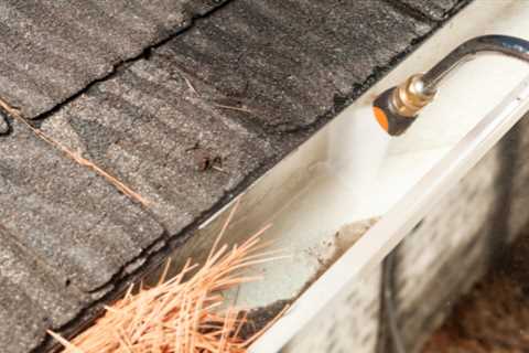 Gutter Cleaning Wollaston