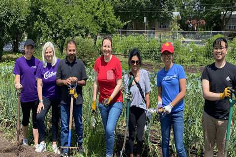 The Power of Volunteers in Nonprofit Organizations in Monroe, LA